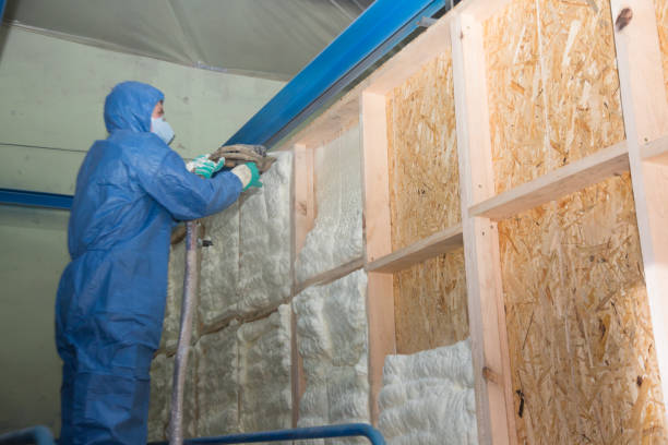 Best Garage Insulation Installation  in South Greensburg, PA